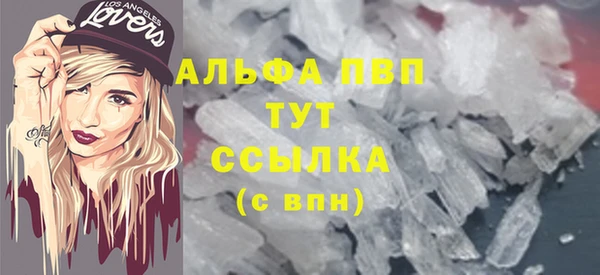 индика Абаза