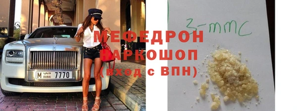 индика Абаза