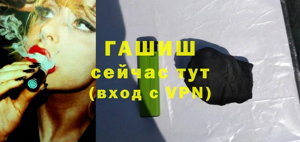 индика Абаза