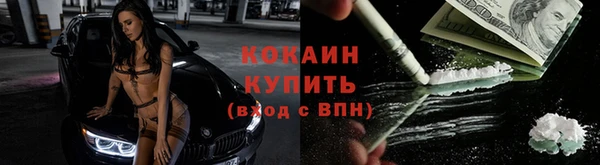 индика Абаза