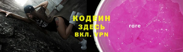 индика Абаза