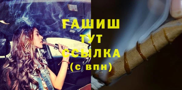 индика Абаза