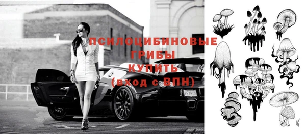 индика Абаза