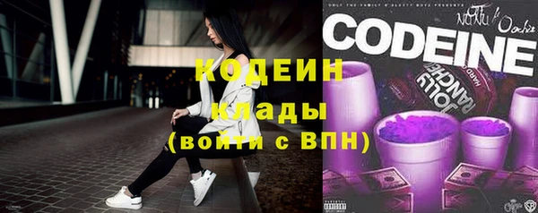 индика Абаза