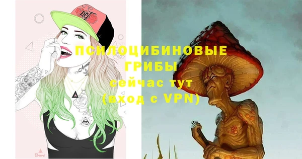 индика Абаза