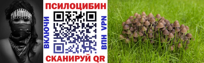 Галлюциногенные грибы GOLDEN TEACHER  Северодвинск 