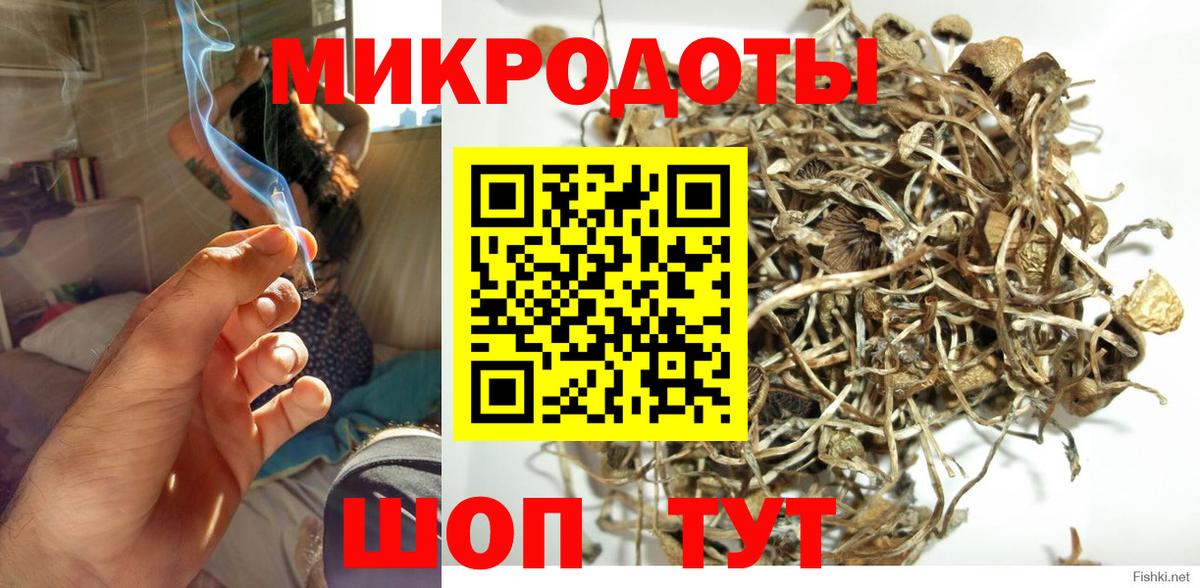 Северодвинск  Псилоцибиновые грибы прущие грибы  Галлюциногенные грибы GOLDEN TEACHER  Вход с VPN 